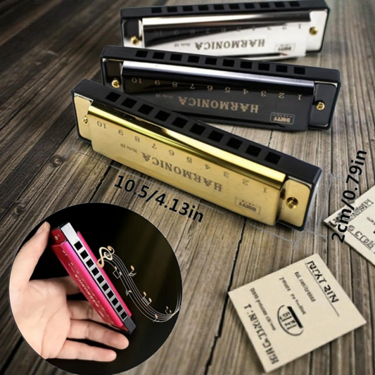 10 Hole Harmonica Key of C Chromatic Harp with Protective Case for Beginners