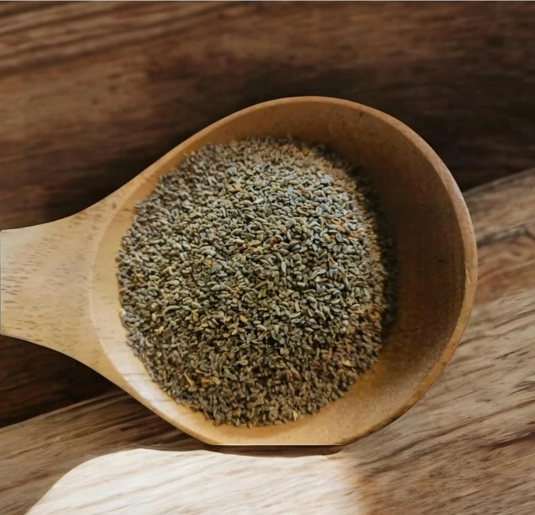250g Organic Ammi Visnaga Seeds Natural Khella Alkheleh Herbal Remedy Heirloom Seeds
