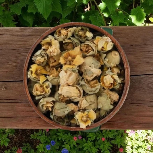 Marshmallow Dried Herb Althaea Officinalis Herbal Tea Natural Organic عشبةختمية