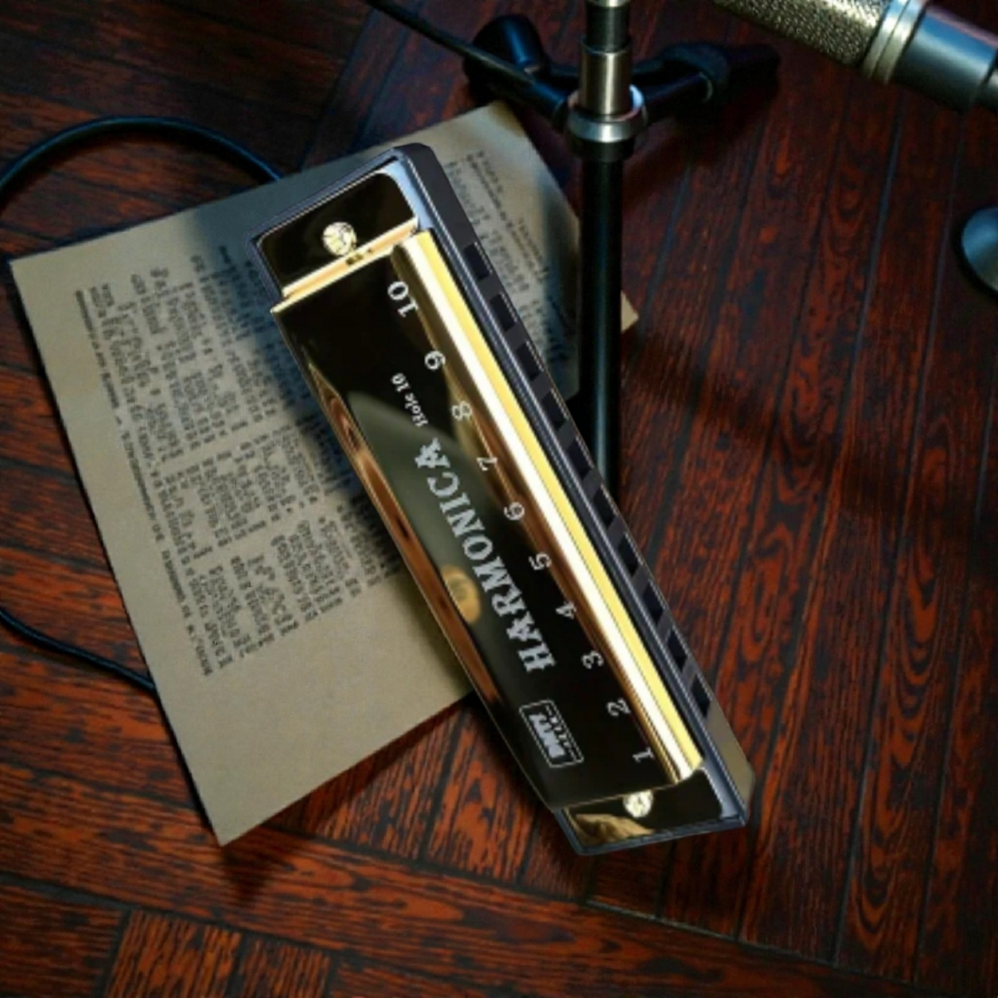10 Hole Harmonica Key of C Chromatic Harp with Protective Case for Beginners
