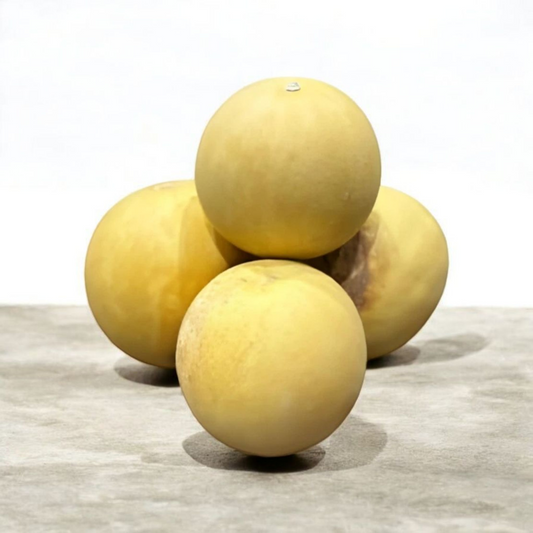 250g Natural Whole Hanzal Herb Organic Citrullus Colocynthis Dried Incense for Wellness & Traditional